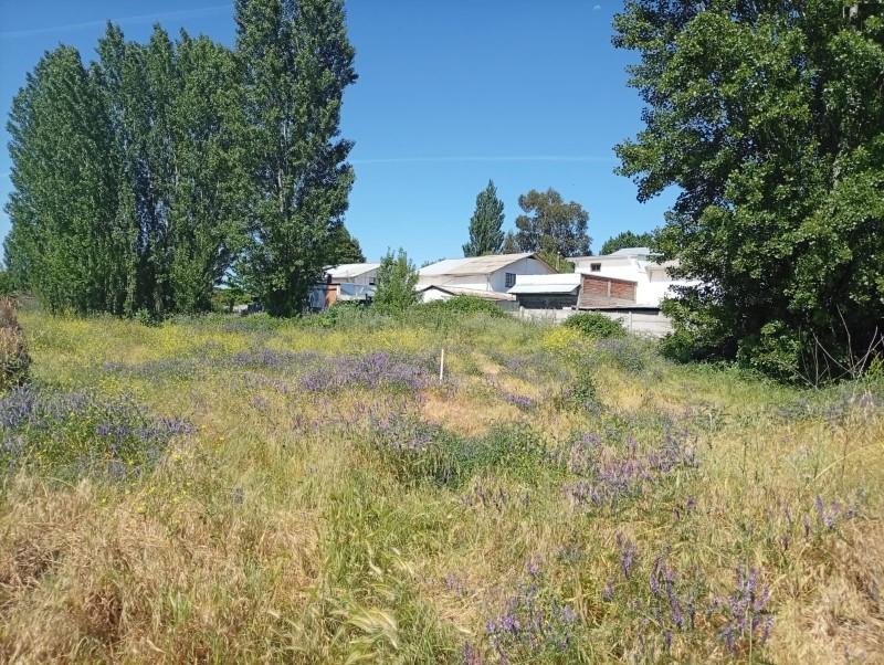 Terreno Comercial 33.000 M² en Pleno Centro de San Javier /