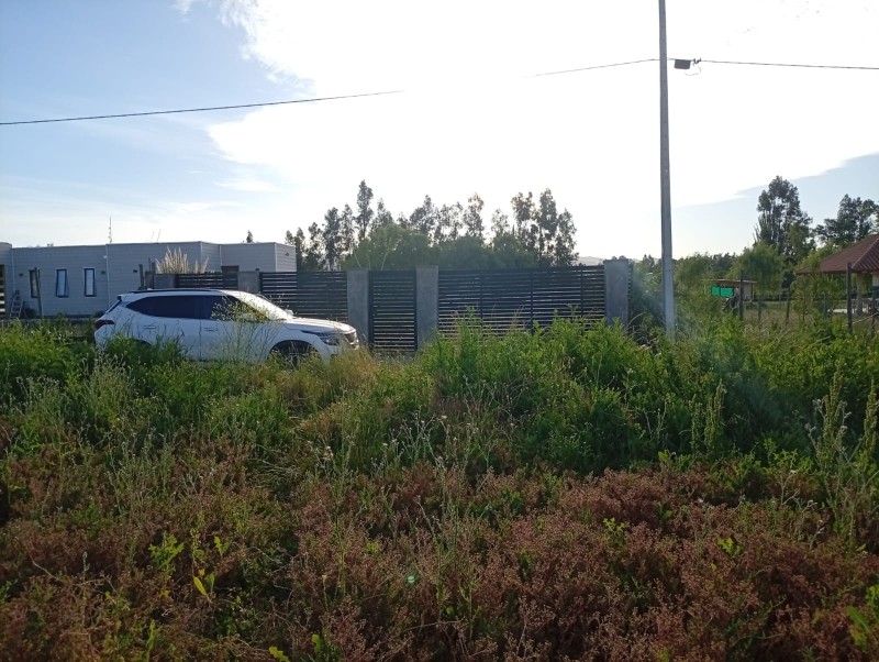 Exclusivo Terreno 5.000 M² – el Plumero (Condominio)