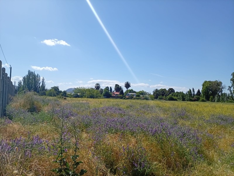 Terreno Comercial 33.000 M² en Pleno Centro de San Javier /