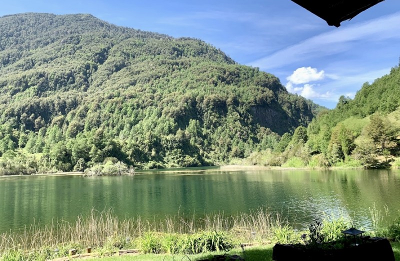 Se Vende Parcela 4.9 Hectáreas / Laguna San Luis