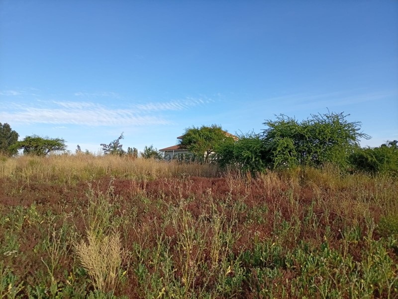 Exclusivo Terreno 5.000 M² – el Plumero (Condominio)