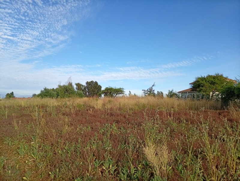 Exclusivo Terreno 5.000 M² – el Plumero (Condominio)