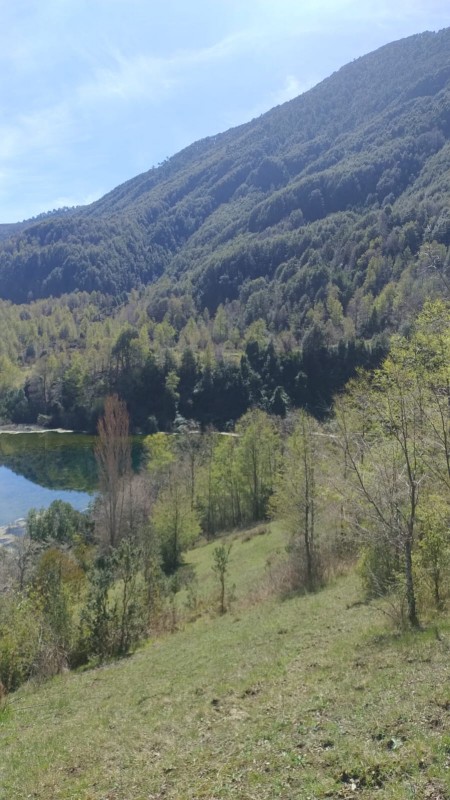 Se Vende Parcela 4.9 Hectáreas / Laguna San Luis