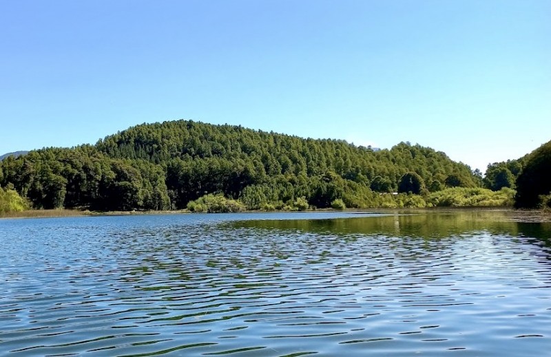 Se Vende Parcela 4.9 Hectáreas / Laguna San Luis