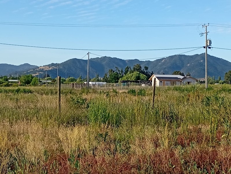 Exclusivo Terreno 5.000 M² – el Plumero (Condominio)