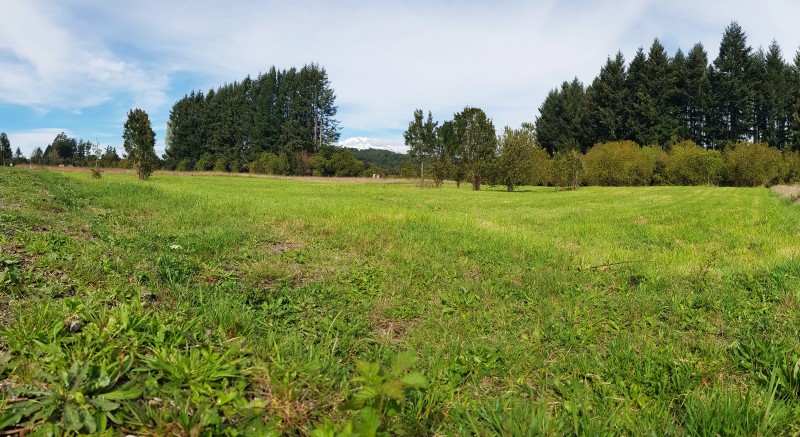 Terreno en Entorno Privado Con Alta Plusvalía Puerto Varas