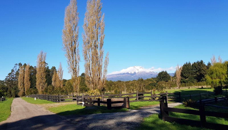 Terreno en Entorno Privado Con Alta Plusvalía Puerto Varas