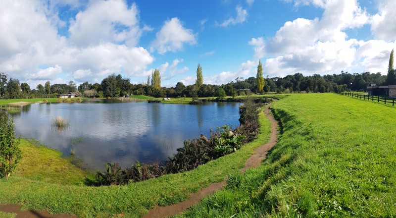 Terreno en Entorno Privado Con Alta Plusvalía Puerto Varas