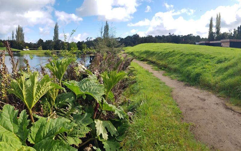 Terreno en Entorno Privado Con Alta Plusvalía Puerto Varas