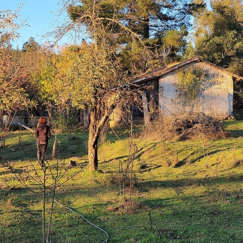 Curepto / Venta Parcela 50.000 Mts2 Casa 4D 4B Gualleco