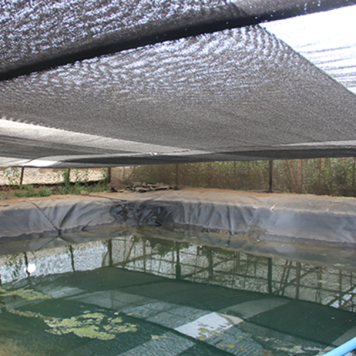 Limache / Venta Parcela 26.000 Mts2 Casa 300 Mts2 6D 6B