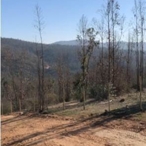 Limache / Venta Parcela 5.500 Mts2 Casa 3D 1B Mediterranea