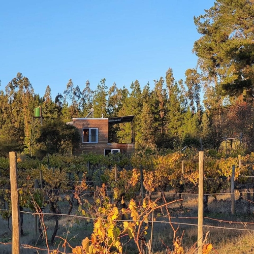 Curepto / Venta Parcela 50.000 Mts2 Casa 4D 4B Gualleco