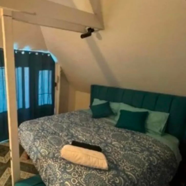 Viña / Arriendo Casa 6D 3B 3Est 1 Bod Plan Oriente