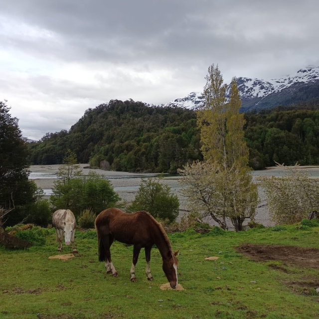 Coyhaique / Venta Terreno 12.000 Mts2 Bahia Murta