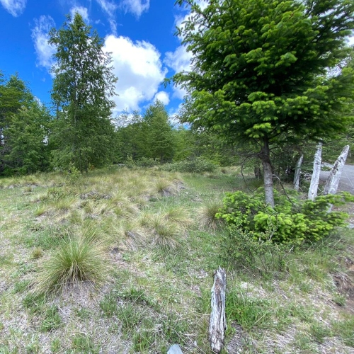 Pucon / Venta Parcela 5.000 Mts2 App Paraiso Escondido