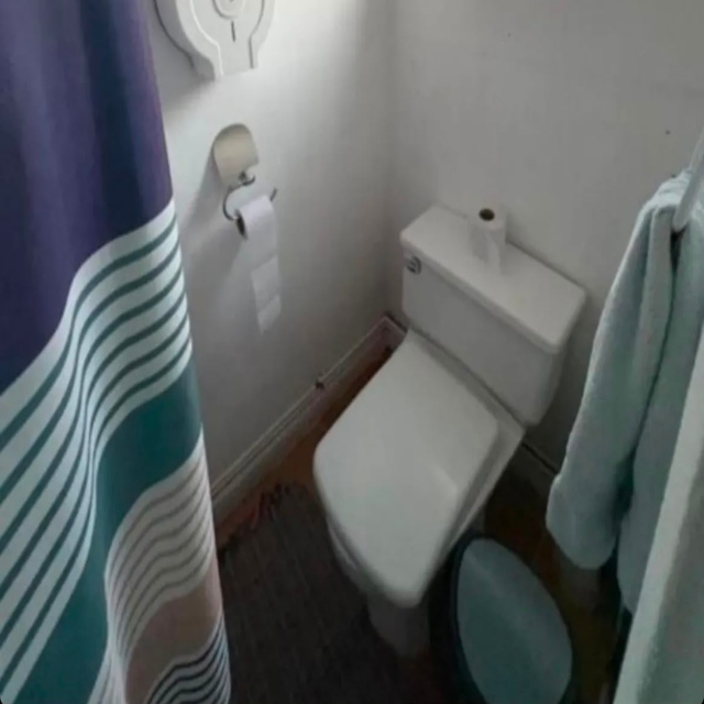 Viña / Arriendo Casa 6D 3B 3Est 1 Bod Plan Oriente