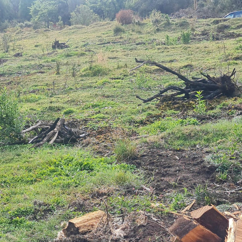 Chiloe / Venta Terrenos desde 10.000 Mts2