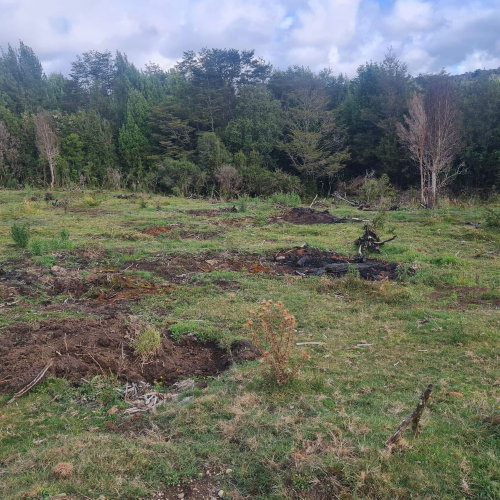 Chiloe / Venta Terrenos desde 10.000 Mts2