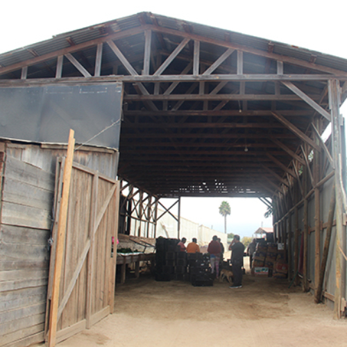 Limache / Venta Parcela 26.000 Mts2 Casa 300 Mts2 6D 6B