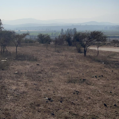 Quillota / Venta Parcela 12.000 Mts2 Apta Proyectos Inmobili