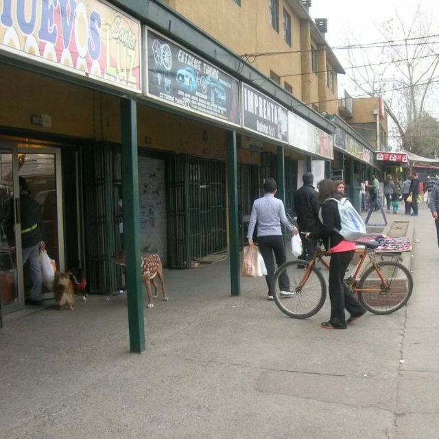 Peñalolen / Arriendo Local 55 Mts2 Directo Dueño