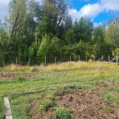 Chiloe / Venta Terrenos desde 10.000 Mts2