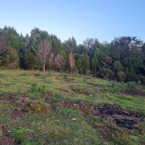 Chiloe / Venta Terrenos desde 10.000 Mts2
