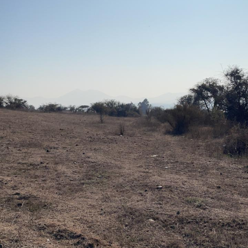 Quillota / Venta Parcela 12.000 Mts2 Apta Proyectos Inmobili