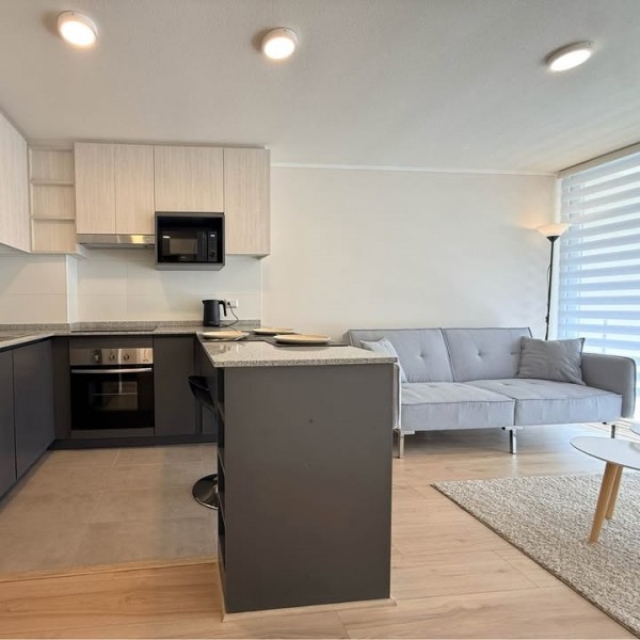 Viña / Arriendo Depto 2D 1B 1Est Amoblado