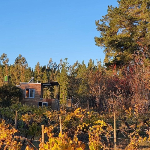 Curepto / Venta Parcela 50.000 Mts2 Casa 4D 4B Gualleco