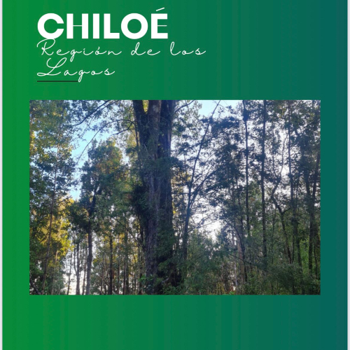 Chiloe / Venta Terrenos desde 10.000 Mts2