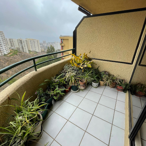 Viña / Venta Depto 3D 2B 1Est Recreo Alto