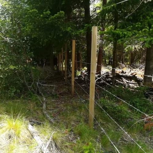 Pucon / Venta Parcela 5.000 Mts2 App Paraiso Escondido