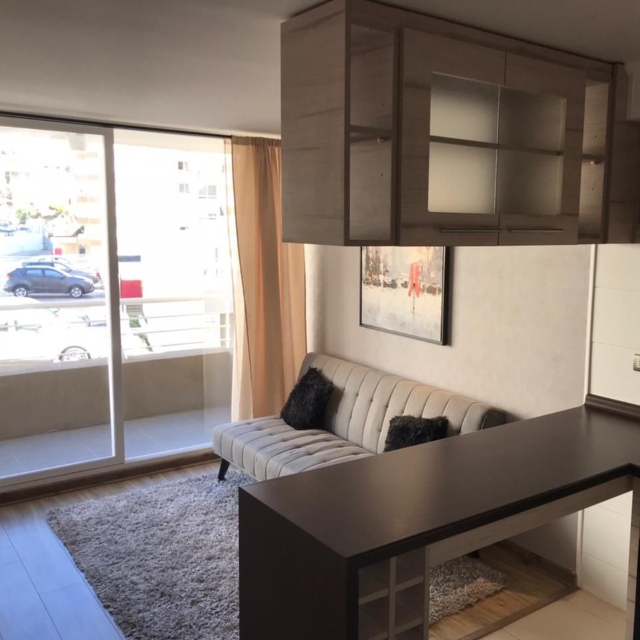 Viña / Venta Depto 1D 1B 1Est Recreo