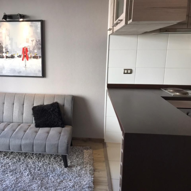 Viña / Venta Depto 1D 1B 1Est Recreo