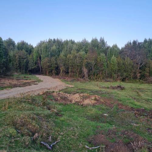 Chiloe / Venta Terrenos desde 10.000 Mts2