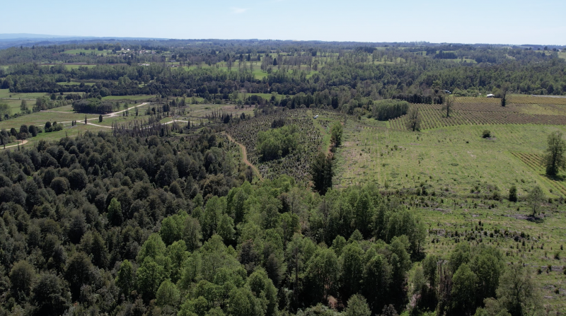 Fundo San Rafael : Parcelas Soñadas en el Sur de Chile