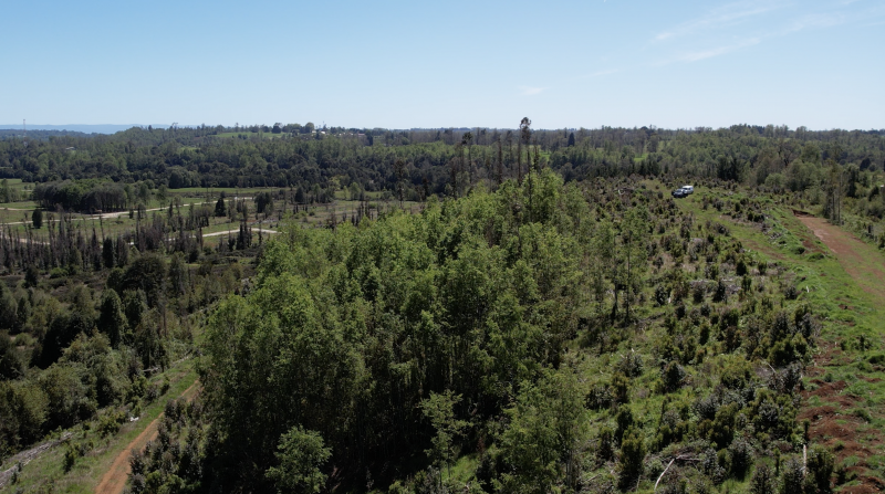 Fundo San Rafael : Parcelas Soñadas en el Sur de Chile