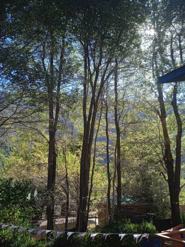 Arriendo Cabaña ​3 Dormitorios en San José de Maipo