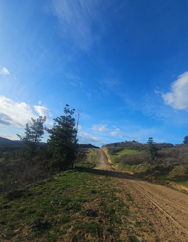 Terreno Con Vista A los Viñedos