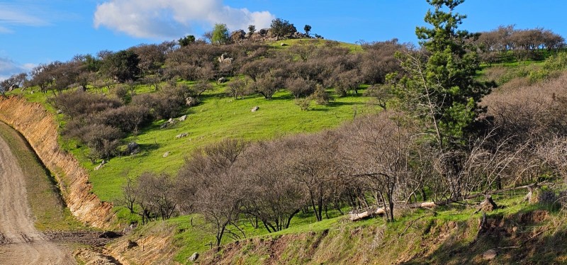 Terreno Con Vista A los Viñedos