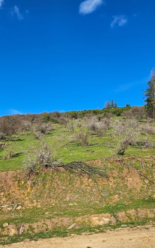 Terreno Con Vista A los Viñedos