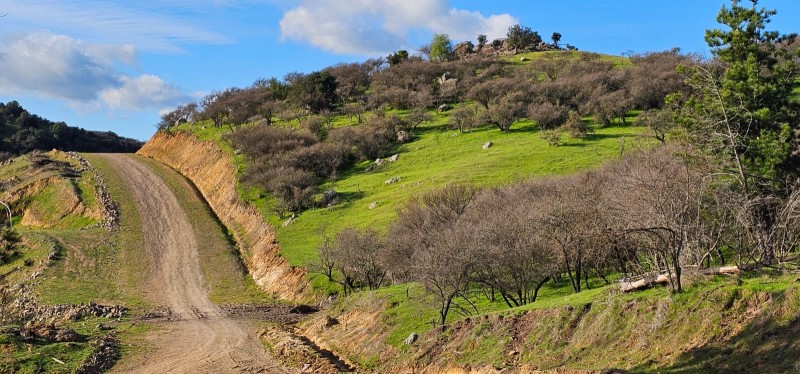 Terreno Con Vista A los Viñedos