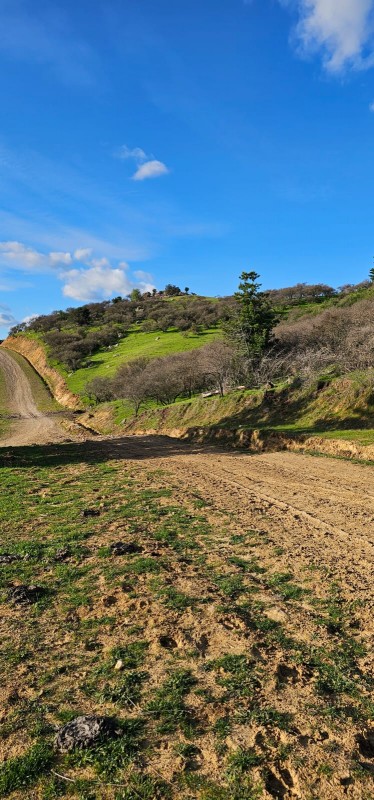 Terreno Con Vista A los Viñedos