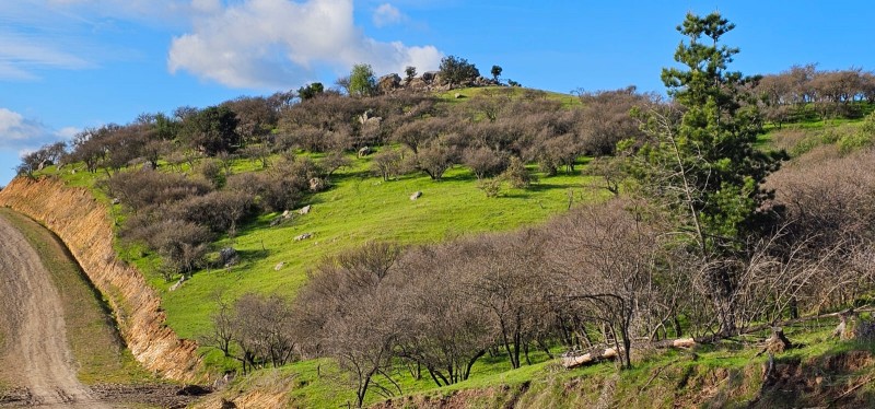 Terreno Con Vista A los Viñedos