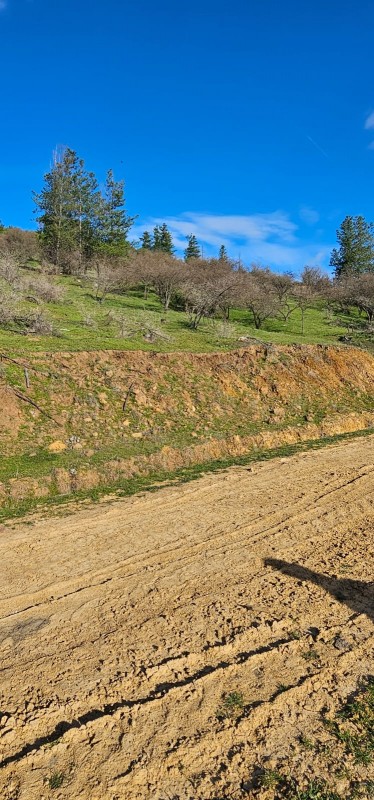 Terreno Con Vista A los Viñedos