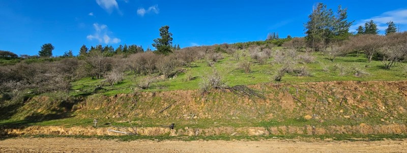 Terreno Con Vista A los Viñedos