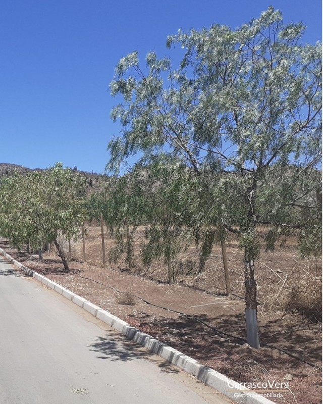 Terreno Ape en Condominio Hacienda Chacabuco
