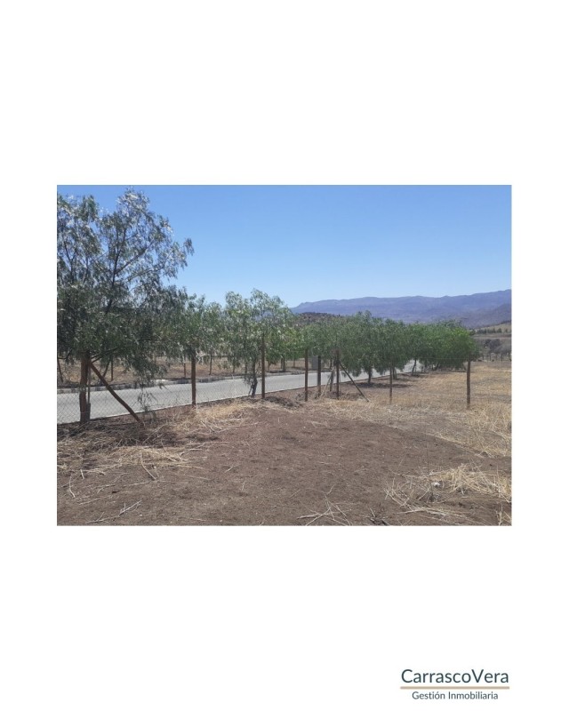 Terreno Ape en Condominio Hacienda Chacabuco